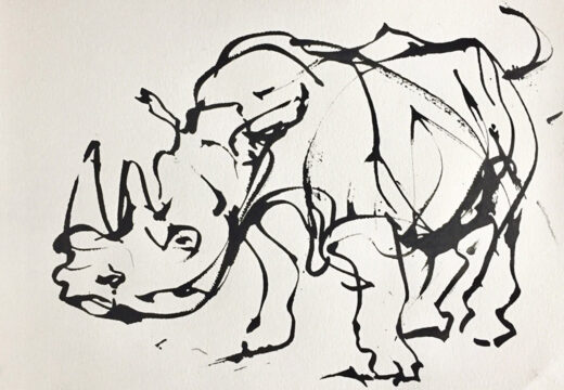 Rhino